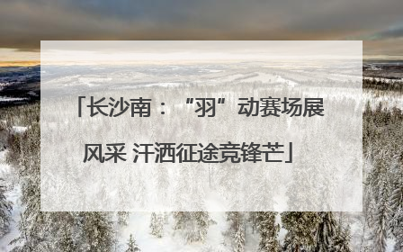 长沙南：“羽”动赛场展风采 汗洒征途竞锋芒