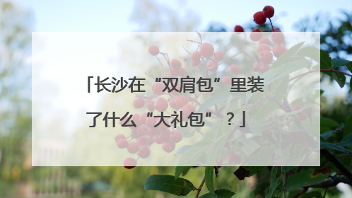 长沙在“双肩包”里装了什么“大礼包”？
