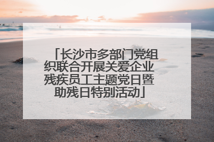 长沙市多部门党组织联合开展关爱企业残疾员工主题党日暨助残日特别活动