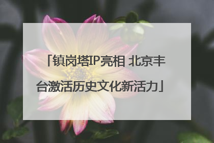 镇岗塔IP亮相 北京丰台激活历史文化新活力