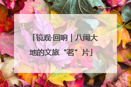 镜观·回响｜八闽大地的文旅“茗”片
