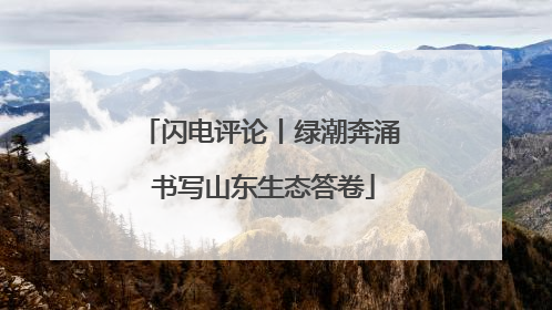闪电评论丨绿潮奔涌 书写山东生态答卷