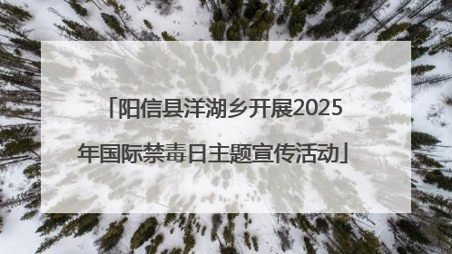 阳信县洋湖乡开展2025年国际禁毒日主题宣传活动