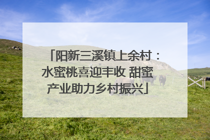 阳新三溪镇上余村：水蜜桃喜迎丰收 甜蜜产业助力乡村振兴