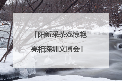 阳新采茶戏惊艳亮相深圳文博会