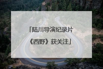 陆川导演纪录片《西野》获关注