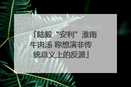 陆毅“安利”淮南牛肉汤 称想演非传统意义上的反派