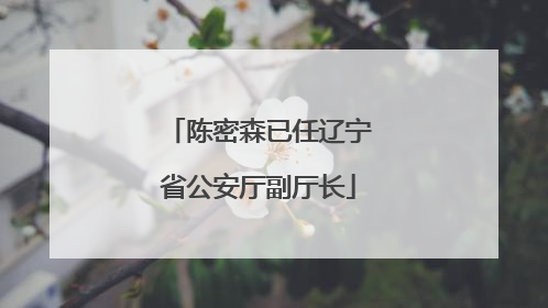 陈密森已任辽宁省公安厅副厅长