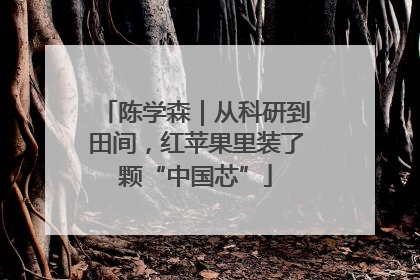 陈学森｜从科研到田间，红苹果里装了颗“中国芯”