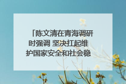陈文清在青海调研时强调 坚决扛起维护国家安全和社会稳定职责使命 为谱写中国式现代化青海篇章贡献政法力量