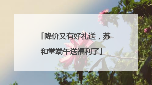 降价又有好礼送，苏和堂端午送福利了