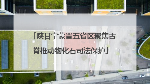 陕甘宁蒙晋五省区聚焦古脊椎动物化石司法保护