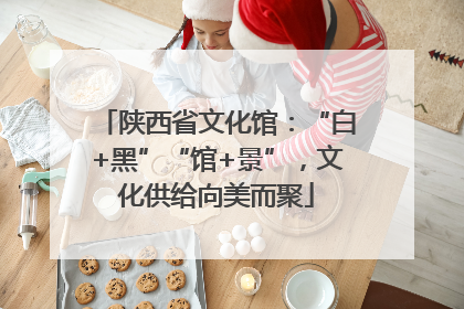 陕西省文化馆：“白+黑”“馆+景”，文化供给向美而聚