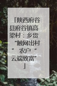 陕西府谷县府谷镇高梁村：乡货“触网出村” 农户“云端致富”