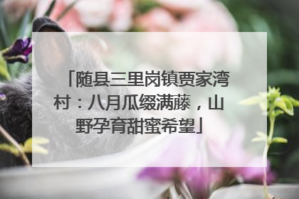 随县三里岗镇贾家湾村：八月瓜缀满藤，山野孕育甜蜜希望