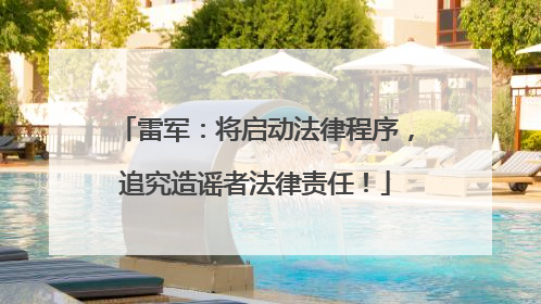 雷军：将启动法律程序，追究造谣者法律责任！