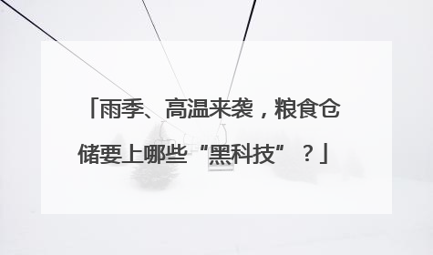 雨季、高温来袭，粮食仓储要上哪些“黑科技”？