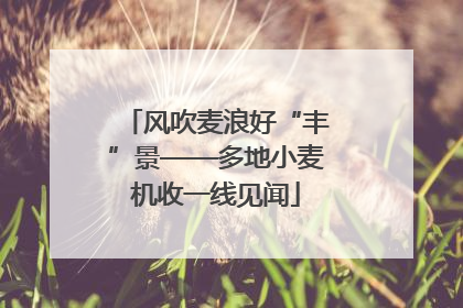 风吹麦浪好“丰”景——多地小麦机收一线见闻