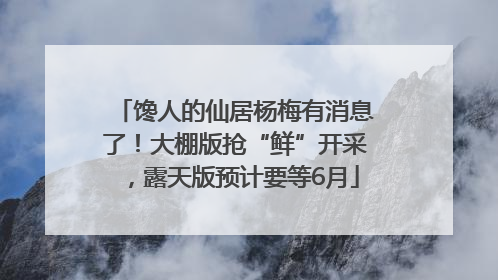 馋人的仙居杨梅有消息了！大棚版抢“鲜”开采，露天版预计要等6月