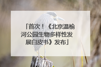 首次！《北京温榆河公园生物多样性发展白皮书》发布