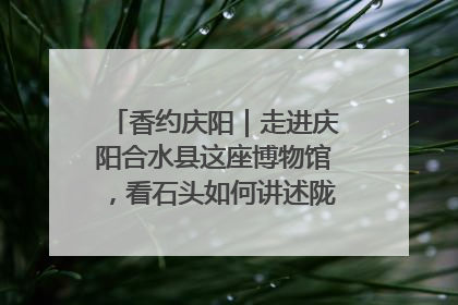 香约庆阳｜走进庆阳合水县这座博物馆，看石头如何讲述陇东千年历史