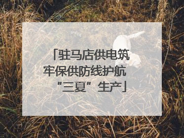 驻马店供电筑牢保供防线护航“三夏”生产