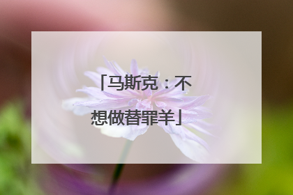 马斯克：不想做替罪羊