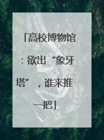 高校博物馆：欲出“象牙塔”，谁来推一把