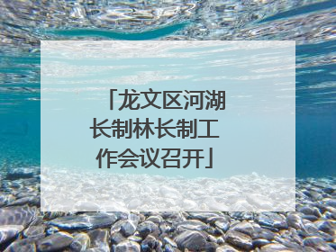 龙文区河湖长制林长制工作会议召开