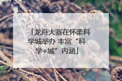 龙舟大赛在怀柔科学城举办 丰富“科学+城”内涵