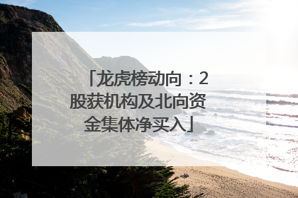 龙虎榜动向：2股获机构及北向资金集体净买入