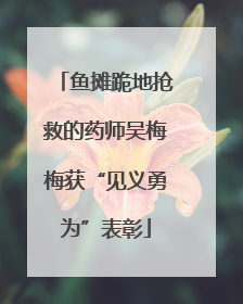 鱼摊跪地抢救的药师吴梅梅获“见义勇为”表彰