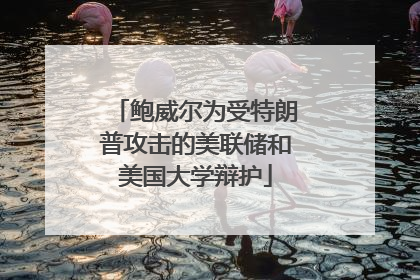 鲍威尔为受特朗普攻击的美联储和美国大学辩护