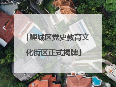 鲤城区党史教育文化街区正式揭牌