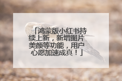 鸿蒙版小红书持续上新，新增图片美颜等功能，用户心愿加速成真！