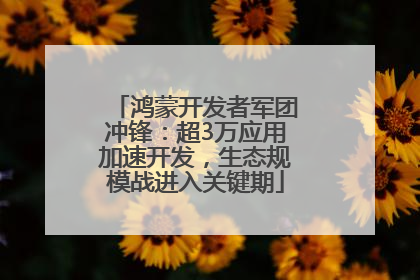 鸿蒙开发者军团冲锋：超3万应用加速开发，生态规模战进入关键期