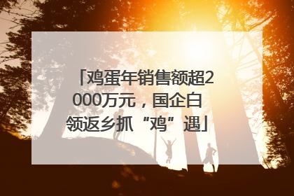 鸡蛋年销售额超2000万元，国企白领返乡抓“鸡”遇