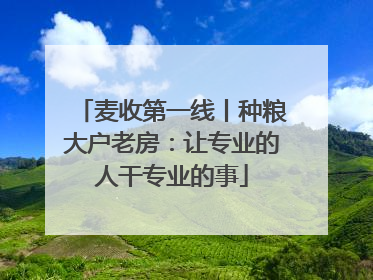 麦收第一线丨种粮大户老房：让专业的人干专业的事
