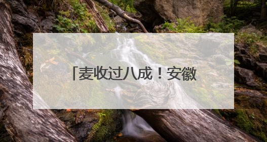 麦收过八成！安徽夏粮有望再迎丰收