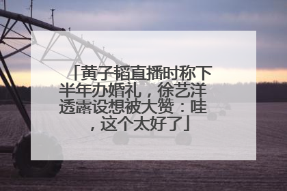 黄子韬直播时称下半年办婚礼，徐艺洋透露设想被大赞：哇，这个太好了