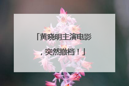 黄晓明主演电影，突然撤档！