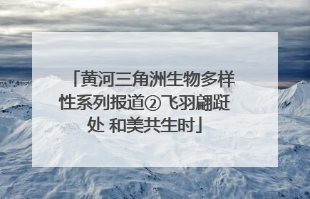 黄河三角洲生物多样性系列报道②飞羽翩跹处 和美共生时