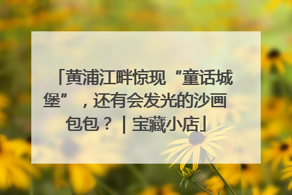 黄浦江畔惊现“童话城堡”，还有会发光的沙画包包？｜宝藏小店