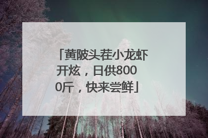 黄陂头茬小龙虾开炫，日供8000斤，快来尝鲜