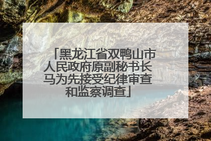 黑龙江省双鸭山市人民政府原副秘书长马为先接受纪律审查和监察调查