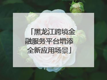 黑龙江跨境金融服务平台增添全新应用场景