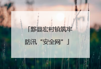 黟县宏村镇筑牢防汛“安全网”