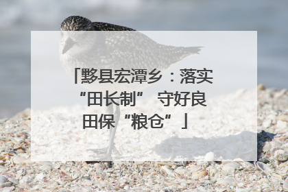 黟县宏潭乡：落实“田长制” 守好良田保“粮仓”