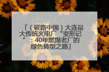 （碳路中国）大连最大传统火电厂“变形记”：40年燃煤老厂的绿色转型之路