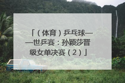 （体育）乒乓球——世乒赛：孙颖莎晋级女单决赛（2）